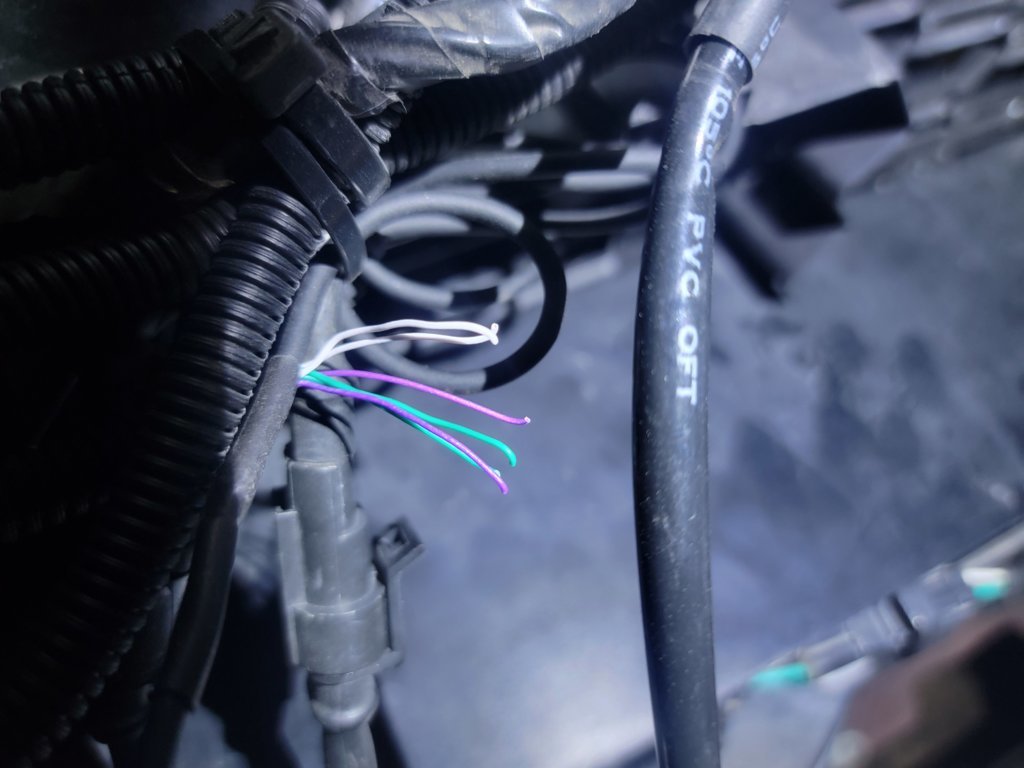 20250624_201239.jpg