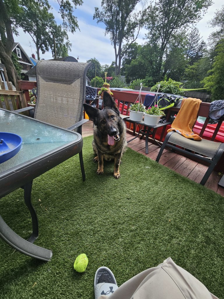 20250626_153317.jpg