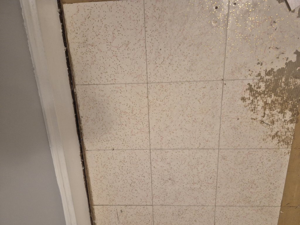 20250626_175530.jpg