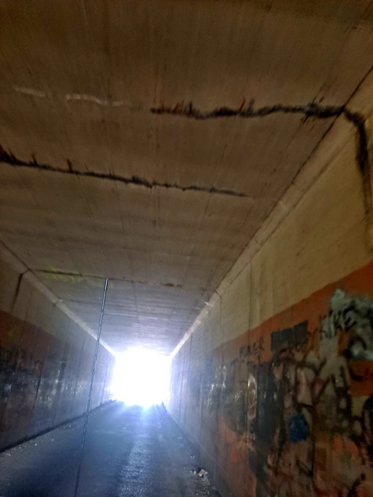 20250627_152034.jpg