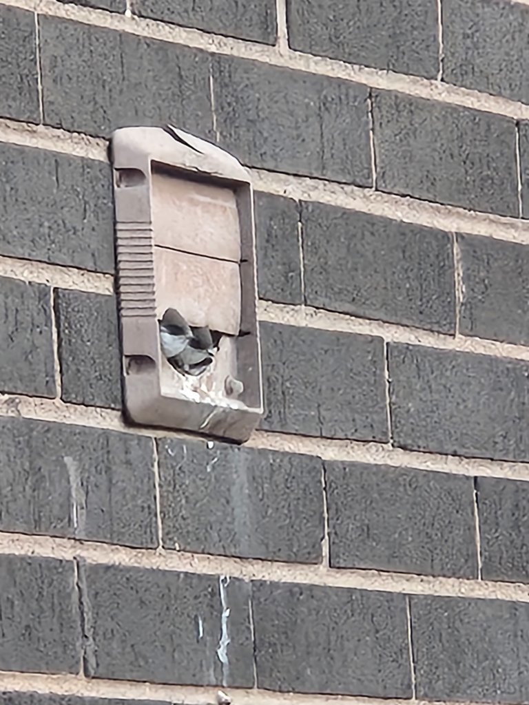 20250627_203305.jpg