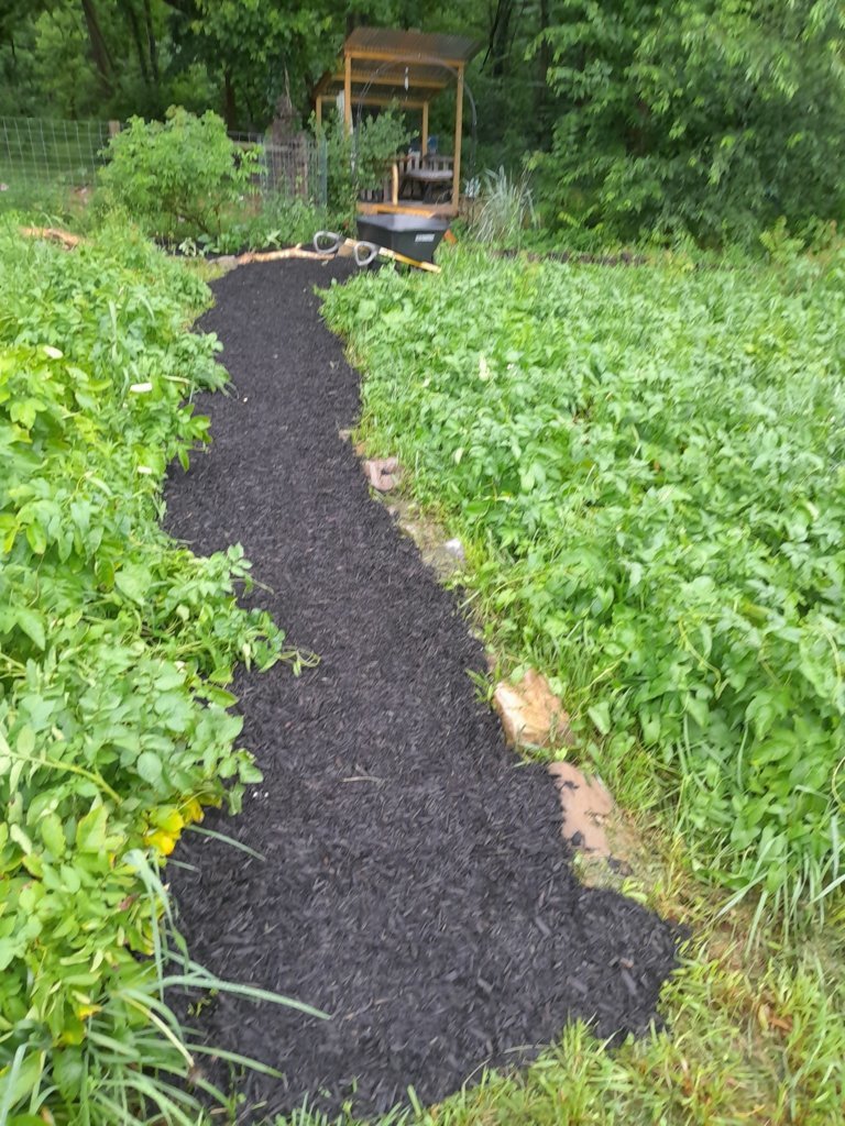 20250628_185634.jpg