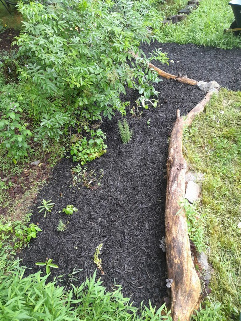 20250628_185708.jpg
