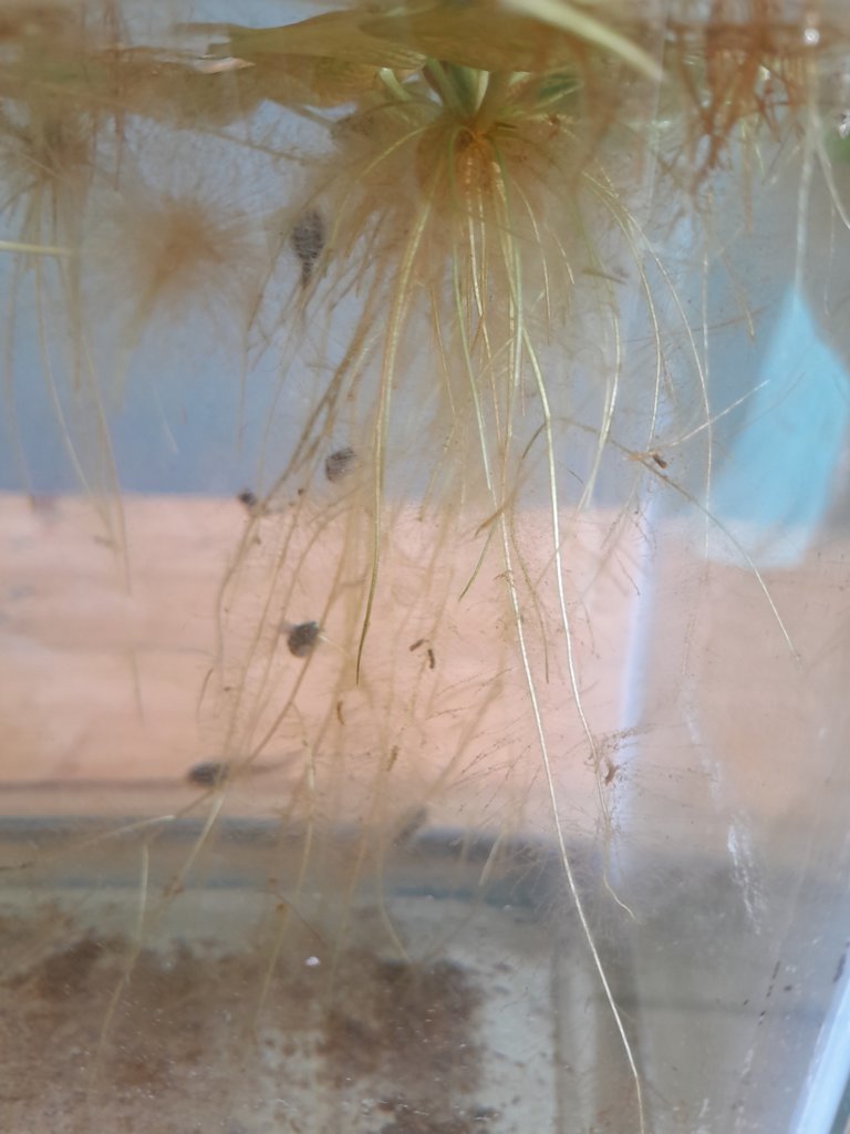20250706_171933.jpg