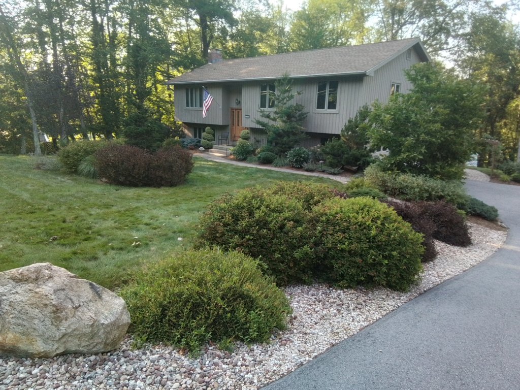 20250706_181301.jpg
