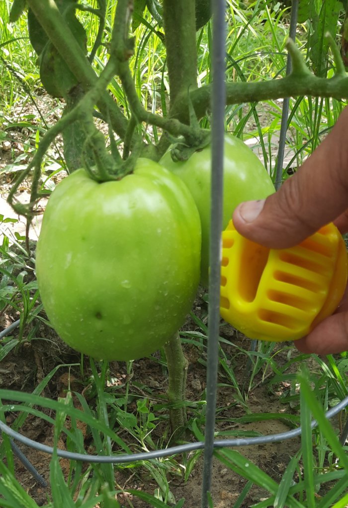 20250707_174719.jpg