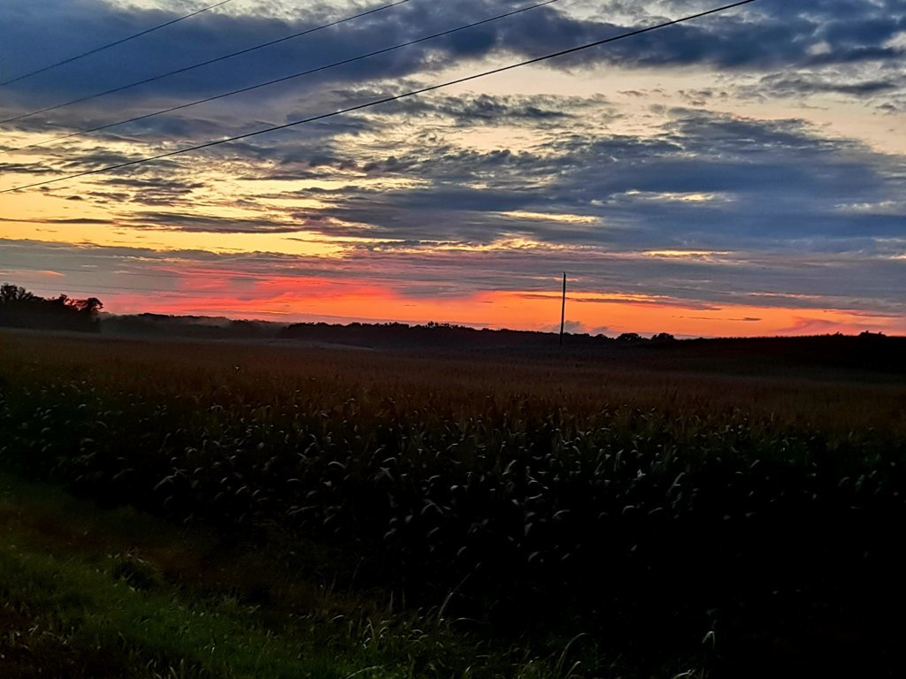 20250707_203110.jpg