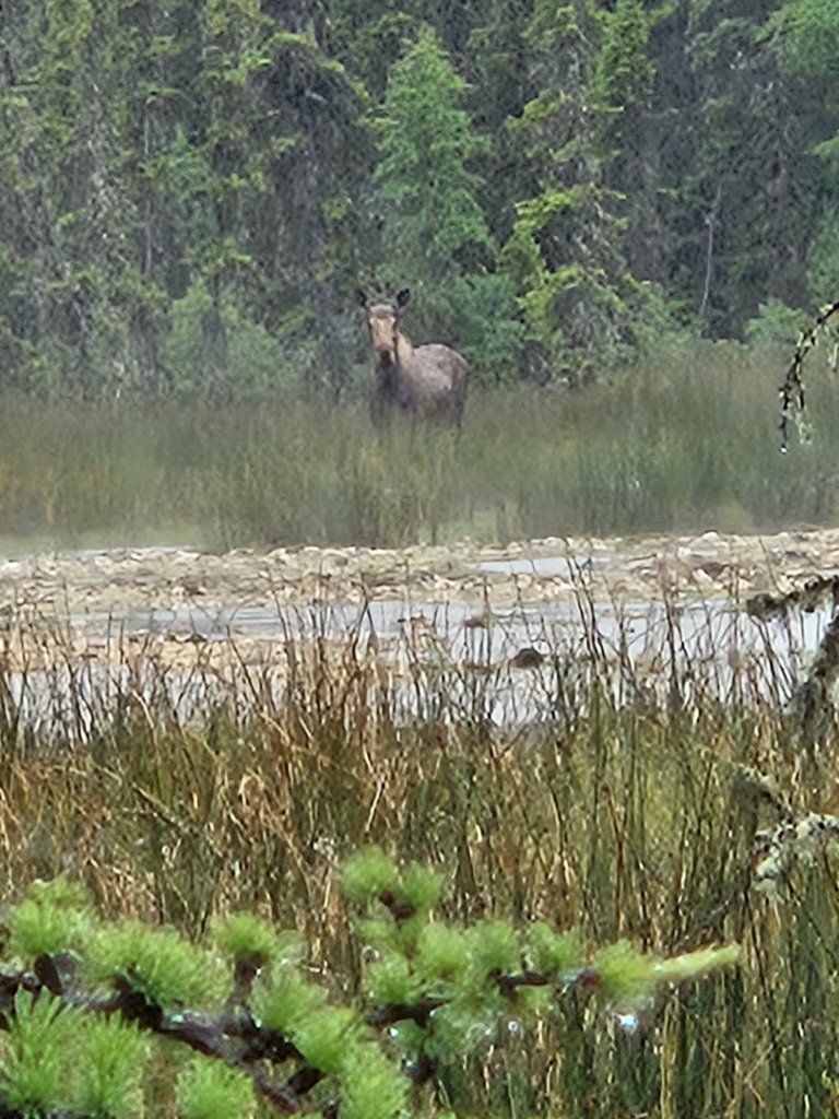 20250709_081002.jpg