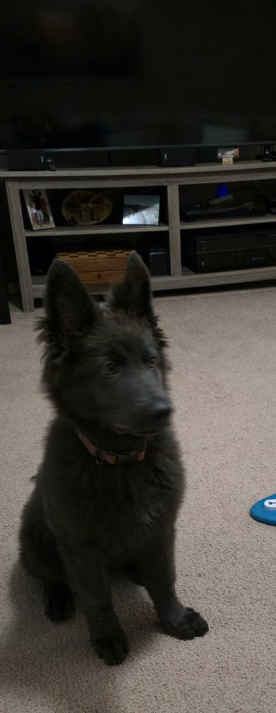 20250710_204600.jpg