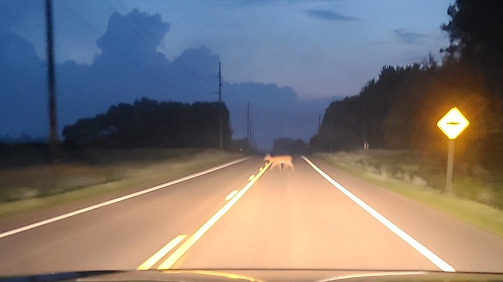 20250712_044930.jpg