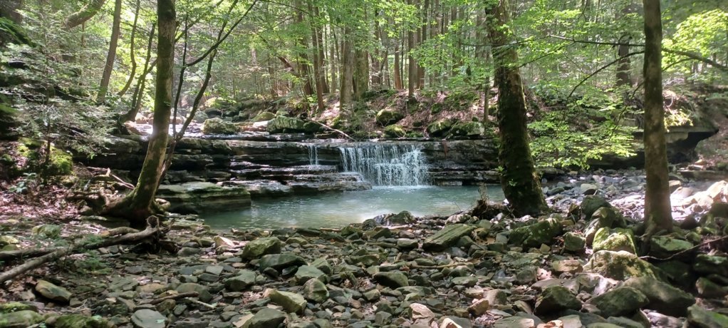 20250715_115717.jpg