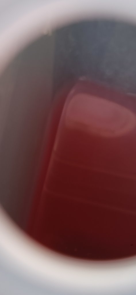 20250716_154538.jpg