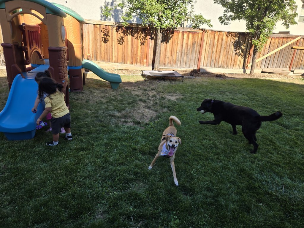 20250718_173448.jpg