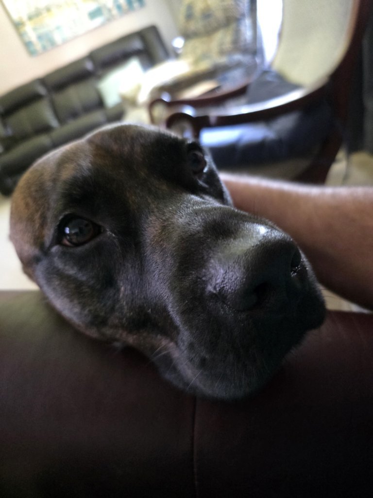 20250719_135923.jpg