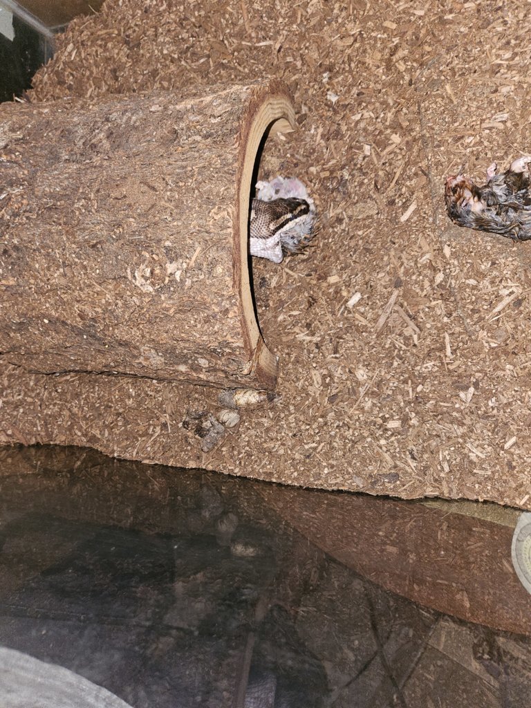 20250720_114207.jpg
