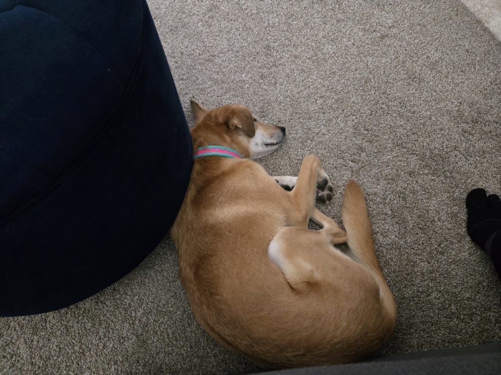 20250721_185242.jpg