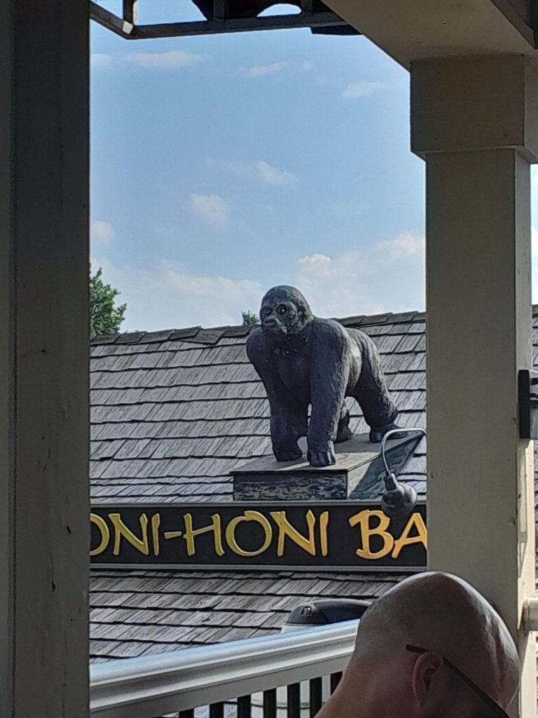 20250723_173951.jpg