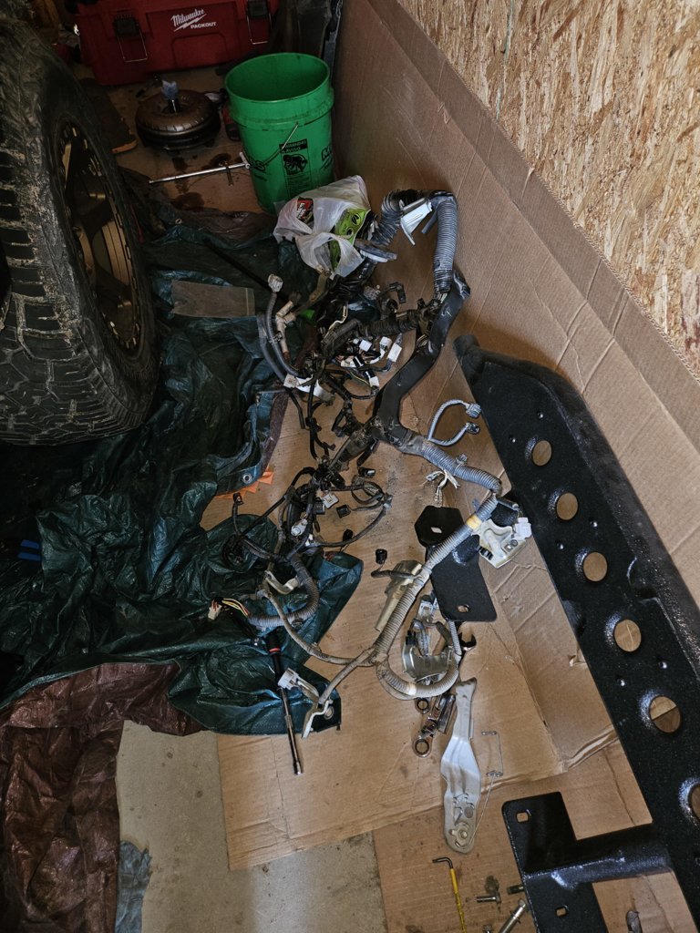 20250726_110646.jpg