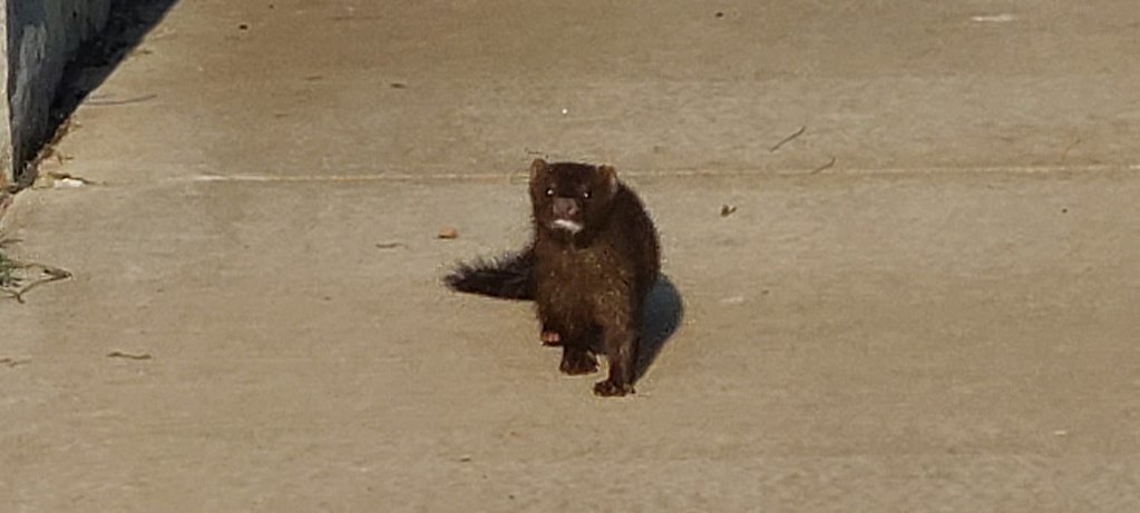 20250727_081337.jpg