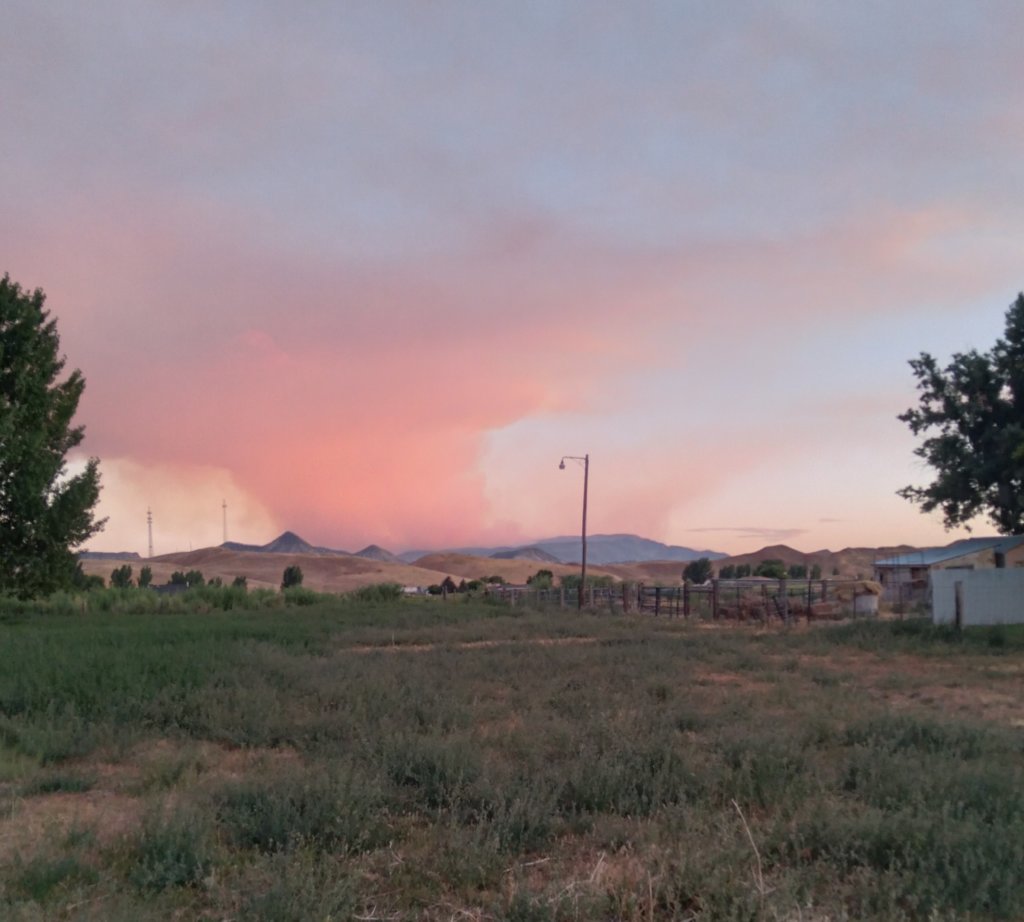 20250727_204358.jpg