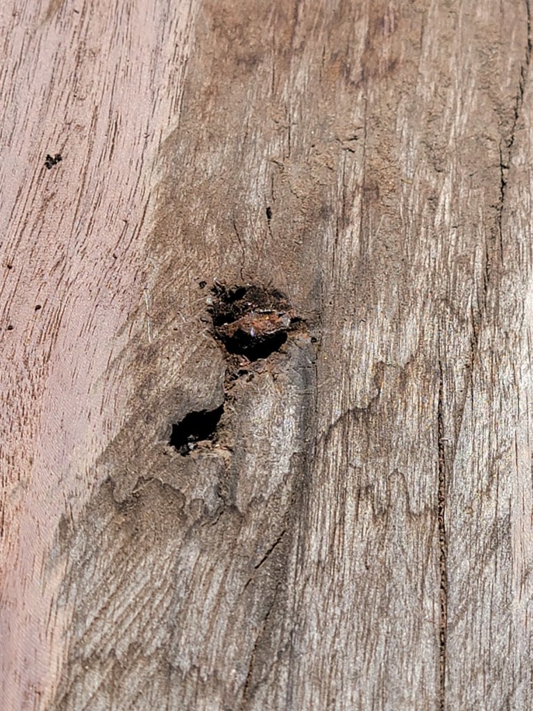 20250728_105101.jpg