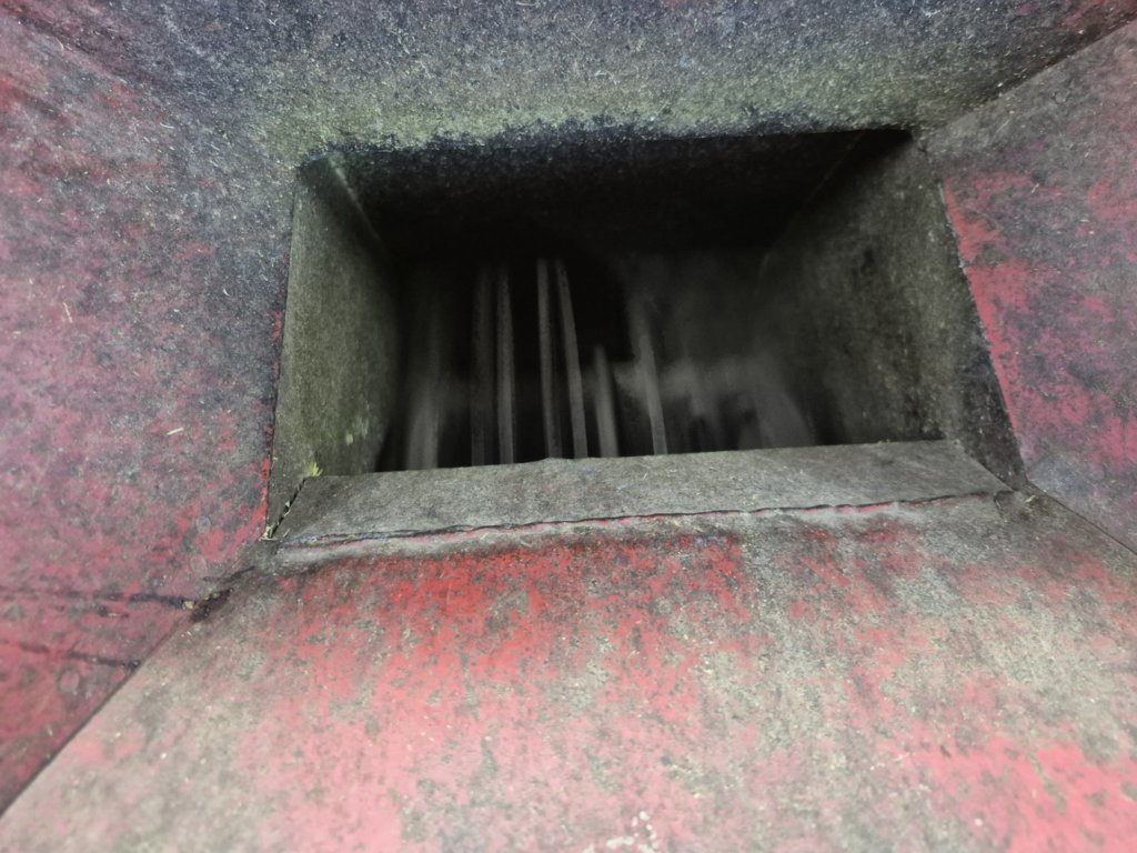20250729_191706.jpg