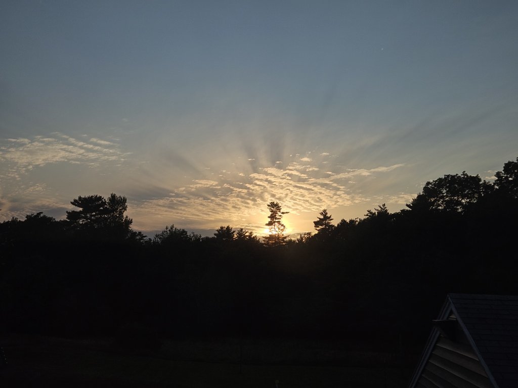 20250729_192937.jpg