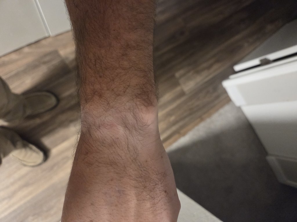 20250730_203137.jpg