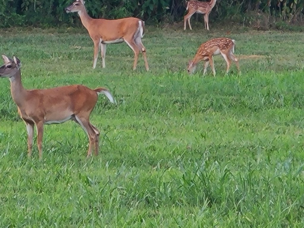 20250731_193319.jpg