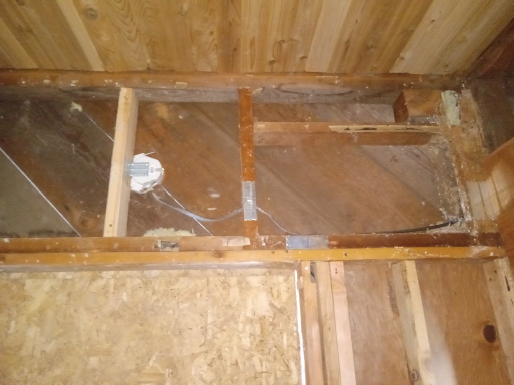 20250801_113003.jpg