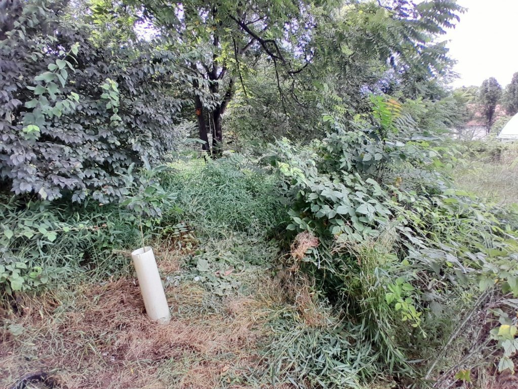 20250802_142150.jpg
