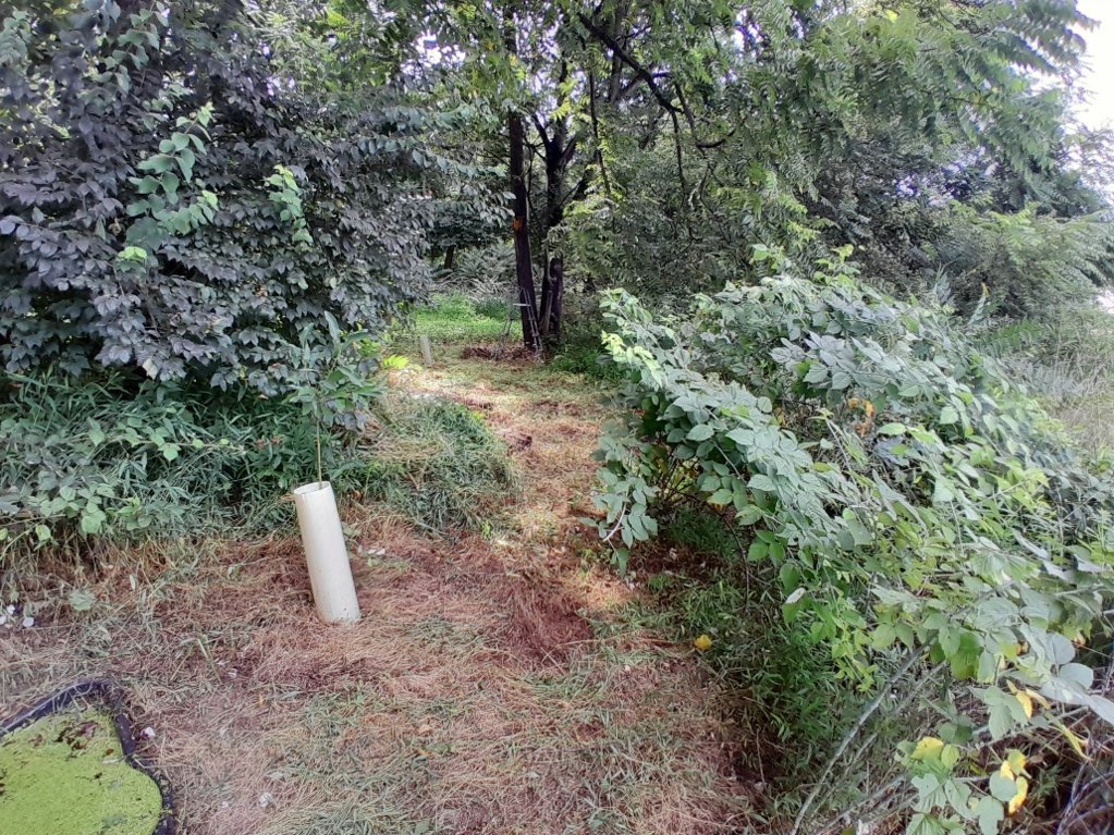 20250802_152812.jpg