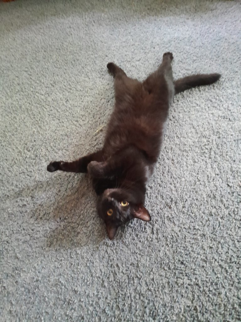 20250805_152007.jpg