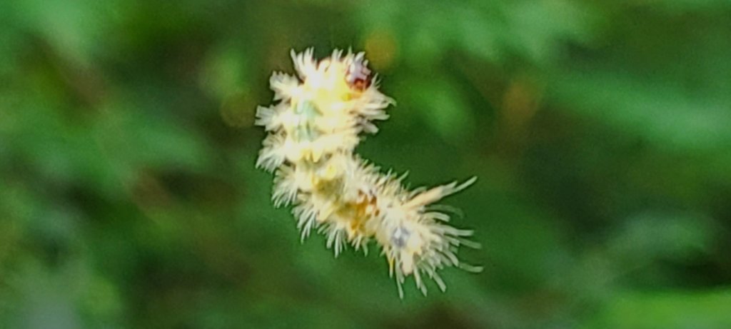 20250808_083317.jpg