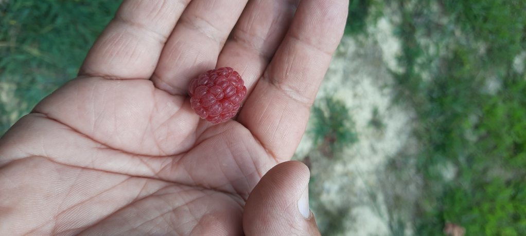 20250808_120739.jpg