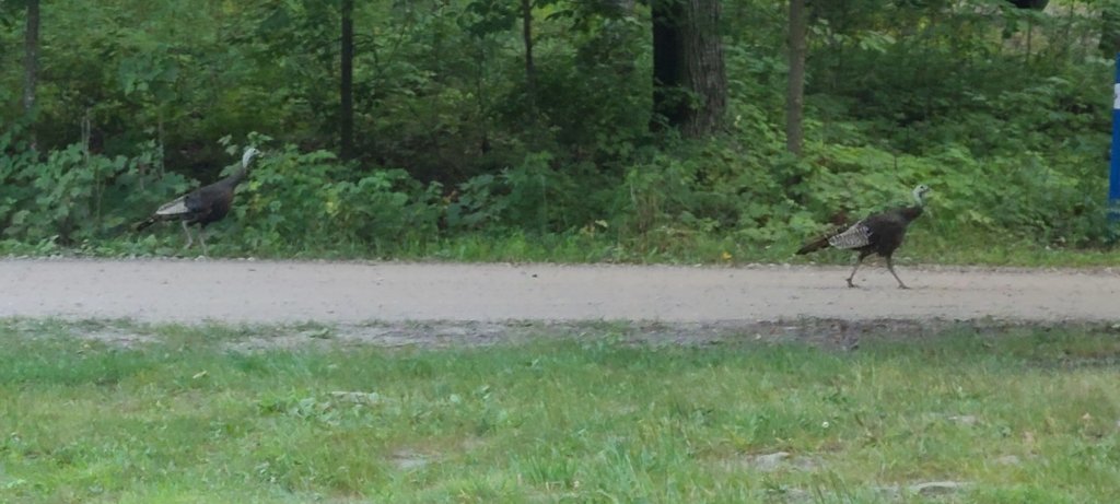 20250808_192852.jpg