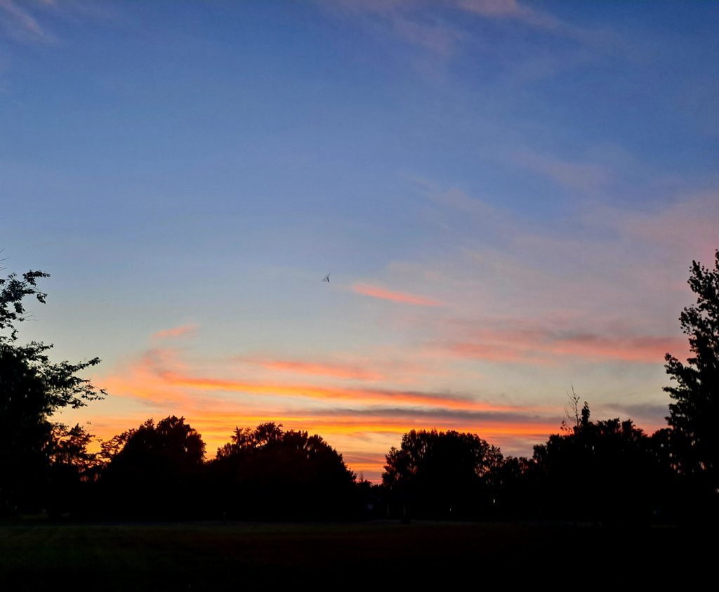 20250809_200605.jpg