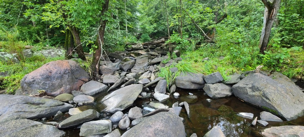 20250810_083842.jpg