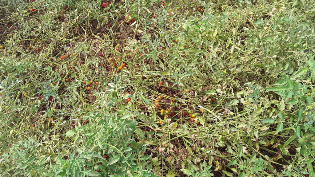 20250810_103116.jpg