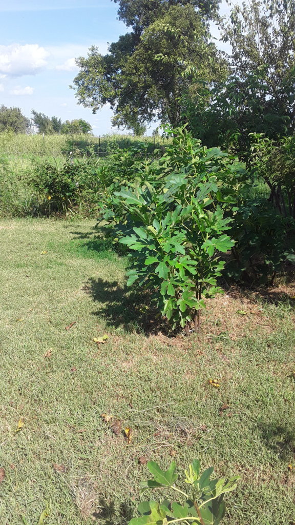 20250812_162938.jpg