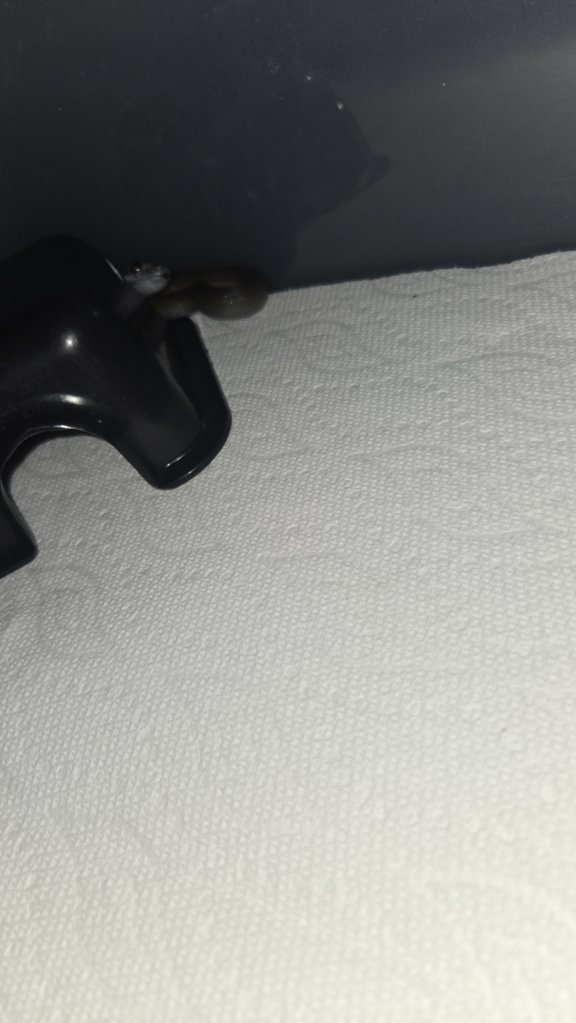 20250813_215023.jpg