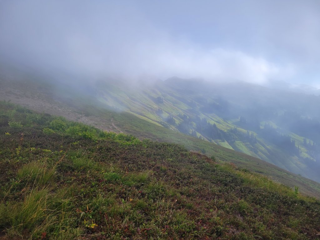 20250814_083630.jpg
