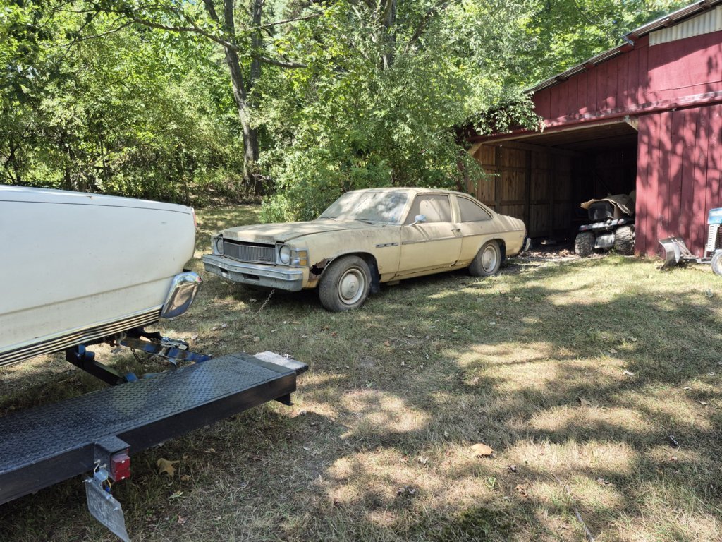 20250818_132112.jpg