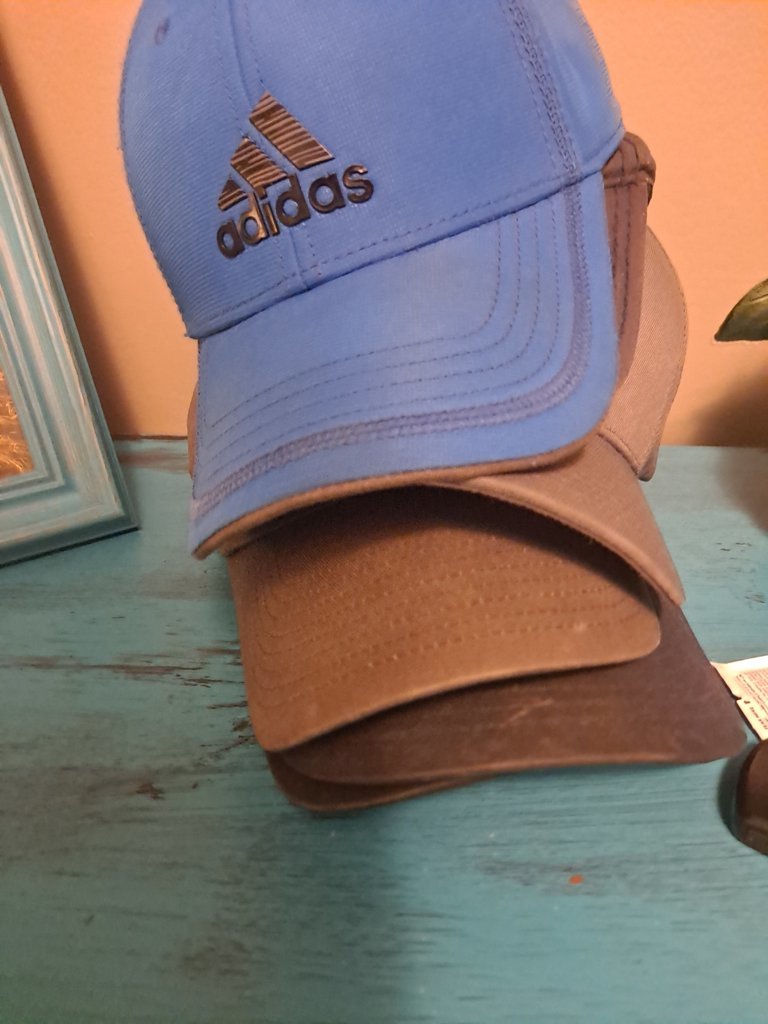 20250819_151756.jpg