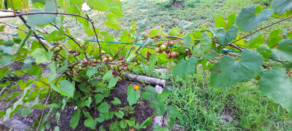 20250820_175014.jpg