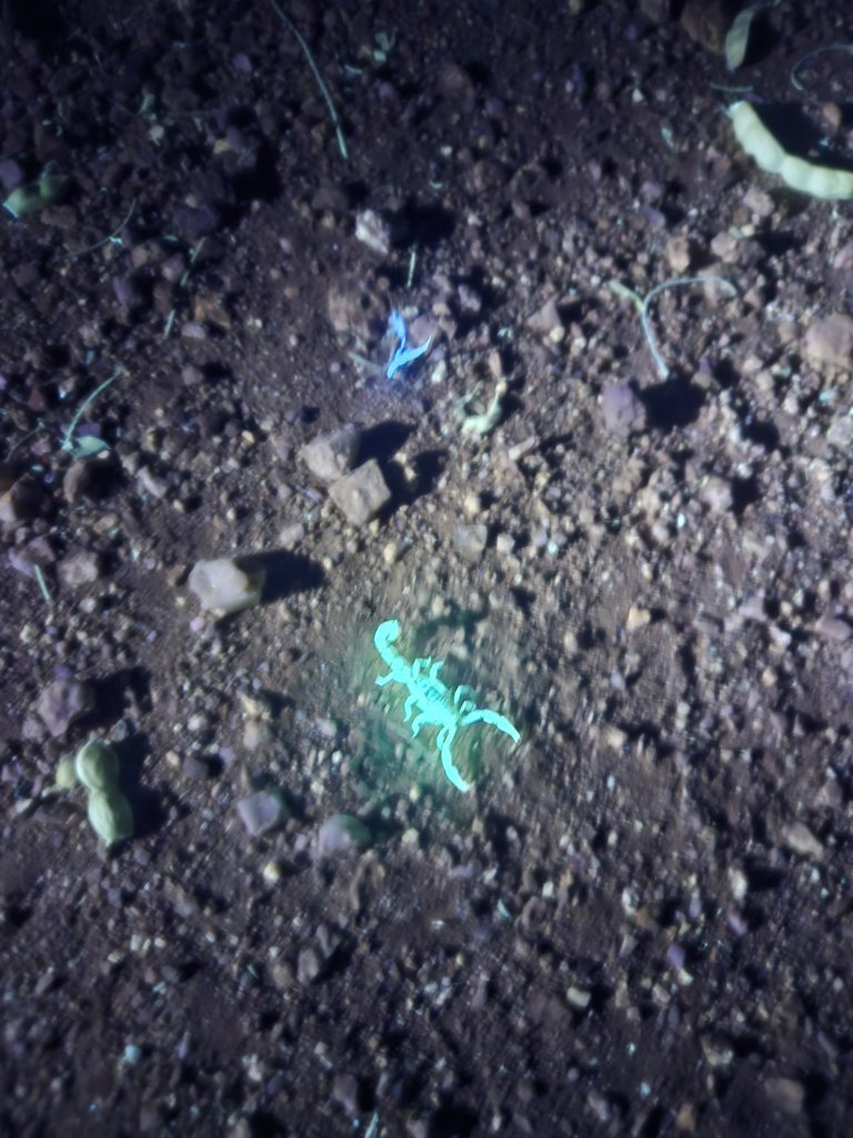 20250820_222622.jpg