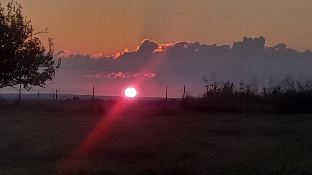20250821_065312.jpg