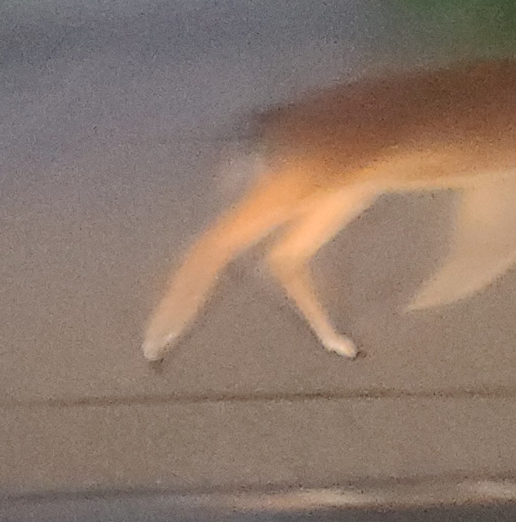 20250823_060534.jpg