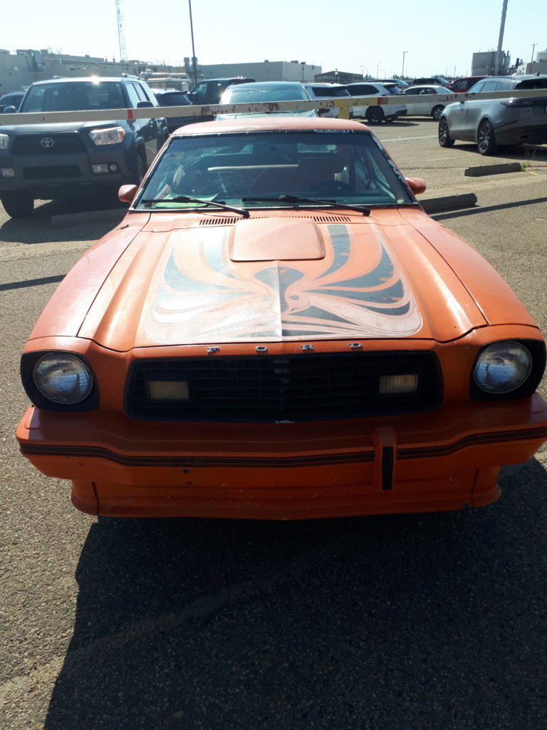 20250827_115510.jpg