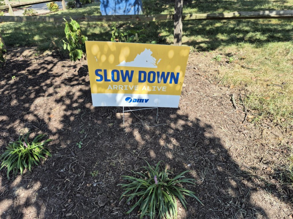 20250828_162816.jpg